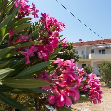 Apartments Maco Petrcane Exterior photo